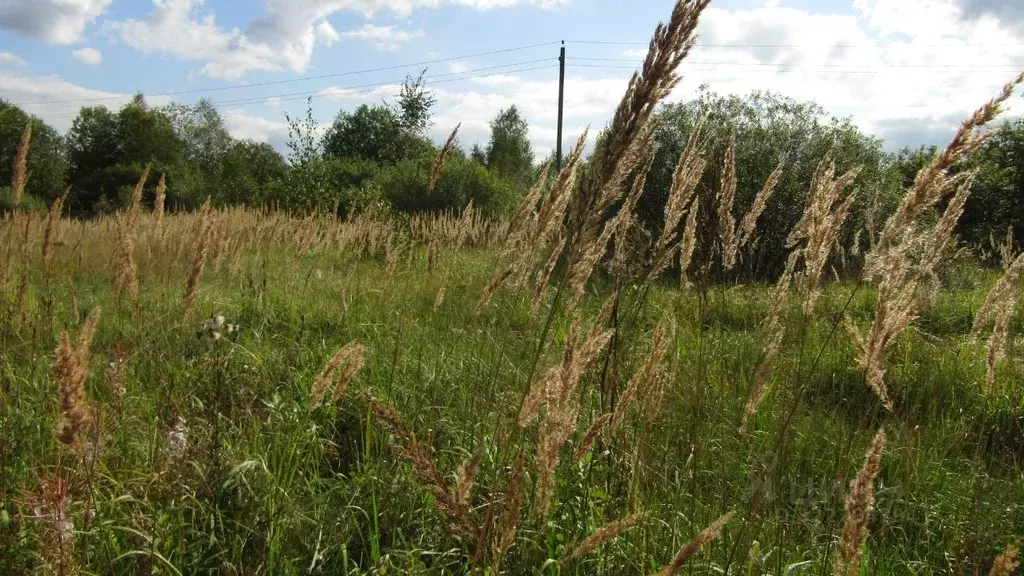 Участок в Московская область, Рузский муниципальный округ, д. Старо  ... - Фото 1