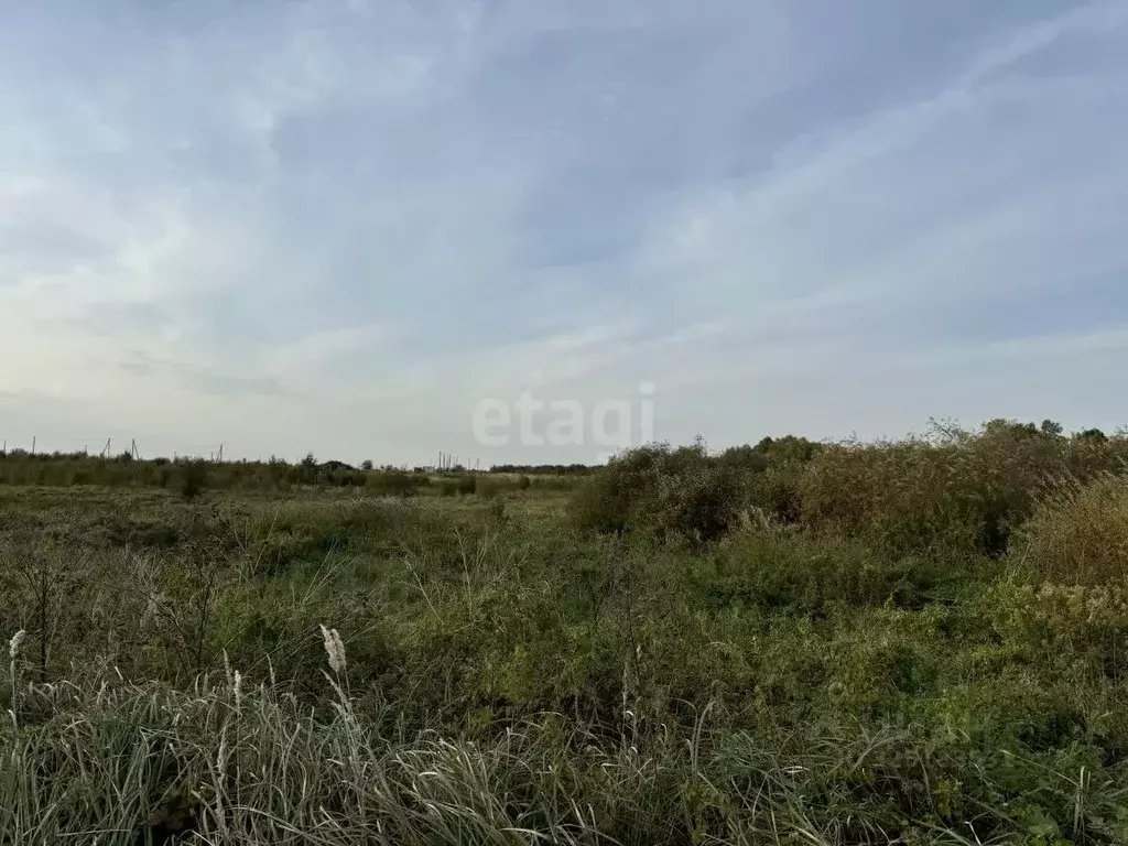 Участок в Калининградская область, Гурьевский муниципальный округ, ... - Фото 2