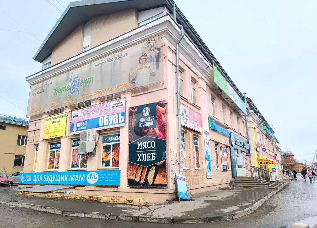 Помещение свободного назначения в Омская область, Омск ул. ... - Фото 0