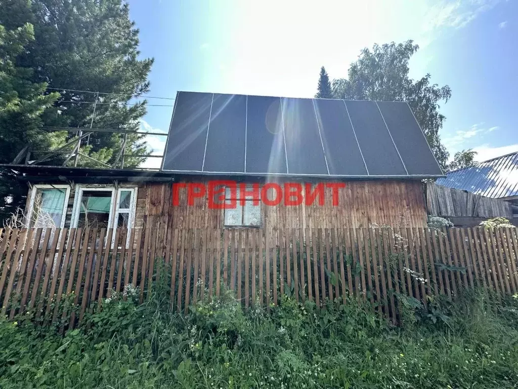 Дом в Новосибирская область, Тогучинский район, Кондитер СНТ 295 (55 ... - Фото 1