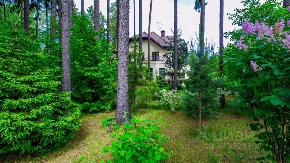 Участок в Московская область, Одинцовский городской округ, д. Бородки, ... - Фото 1