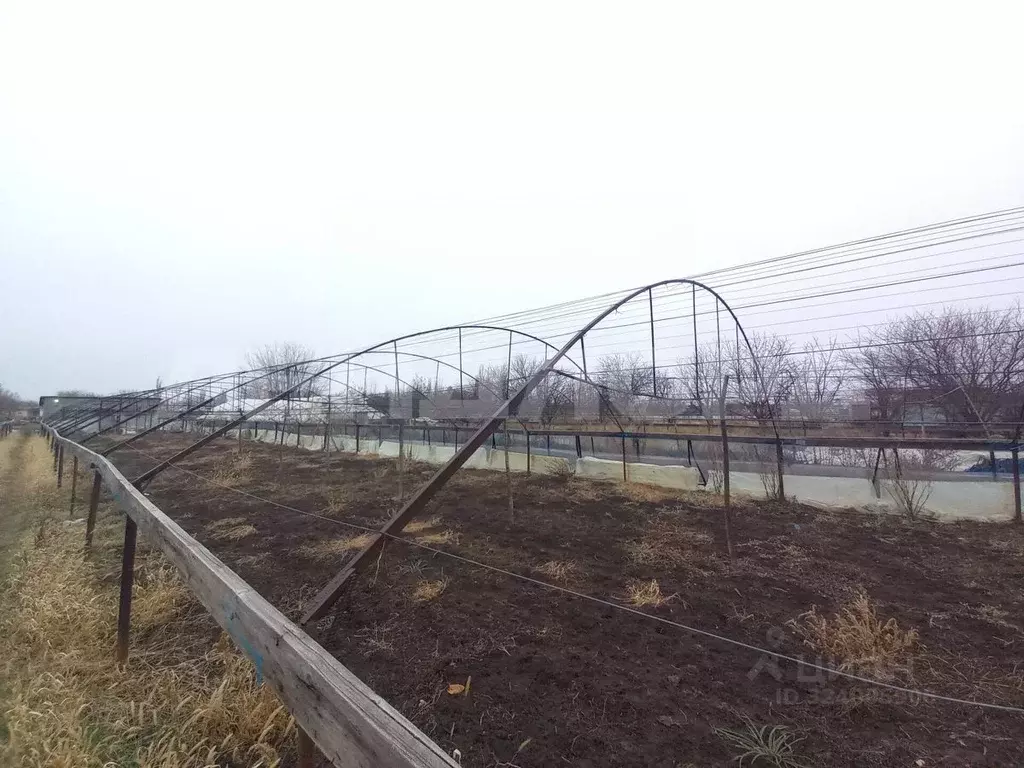 Участок в Ростовская область, Октябрьский район, Бессергеневское ... - Фото 2