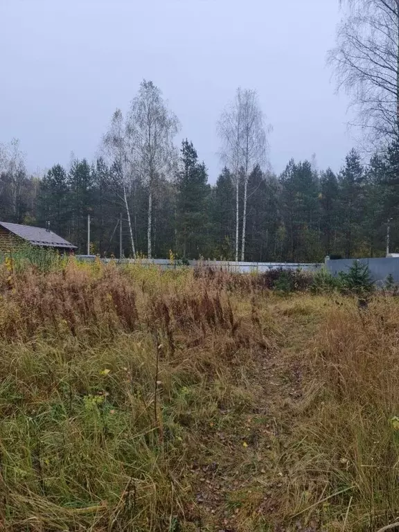 Участок в Московская область, Орехово-Зуевский городской округ, д. ... - Фото 1