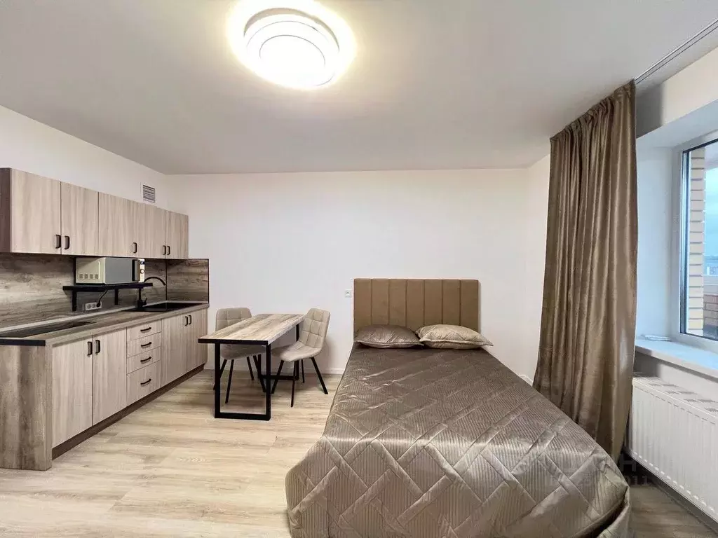 Студия Ленинградская область, Всеволожский район, Заневское городское ... - Фото 1