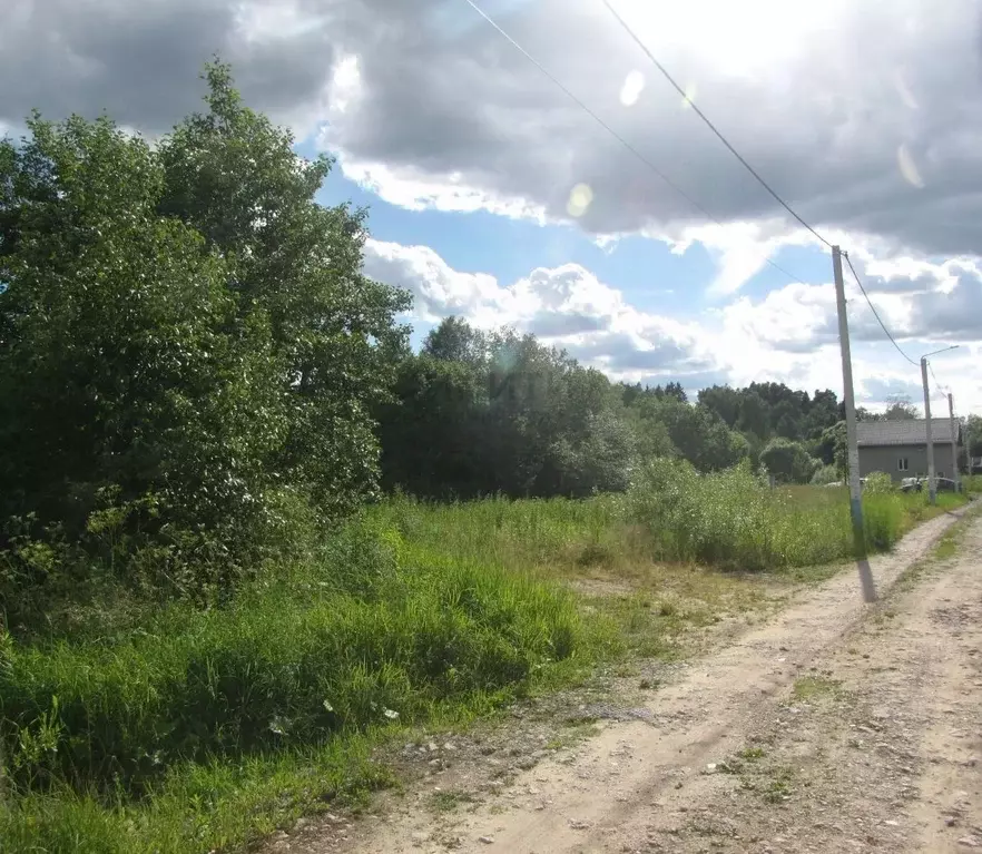 Участок в Московская область, Химки городской округ, д. Подолино ул. ... - Фото 2