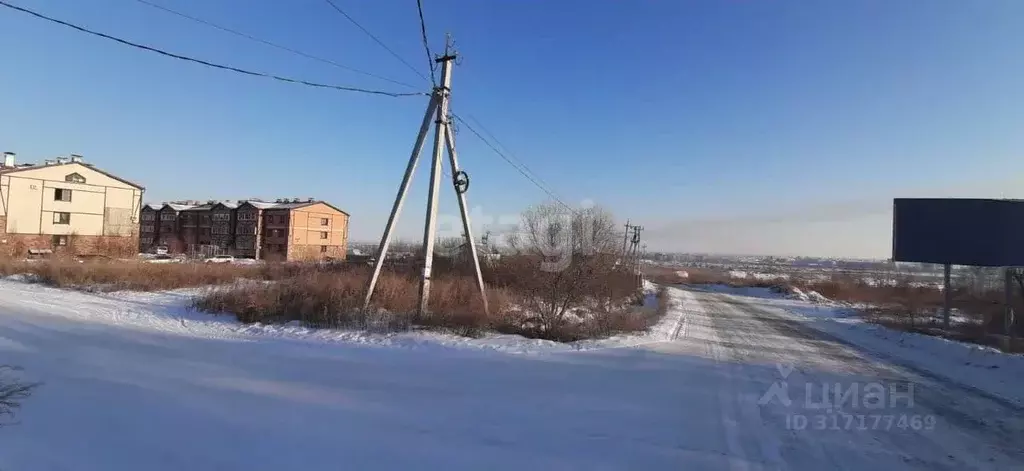 Участок в Амурская область, Благовещенский район, с. Чигири ул. ... - Фото 1