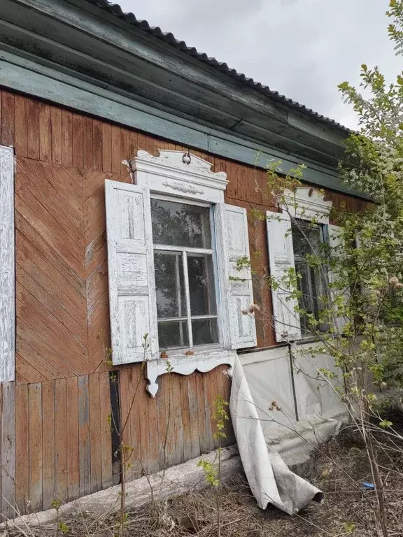 Участок в Красноярский край, Красноярск городской округ, Березовка ... - Фото 1