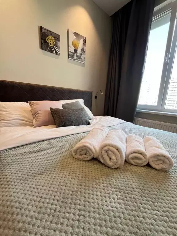 1-к кв. Санкт-Петербург просп. Энергетиков, 8к2 (26.0 м) - Фото 1