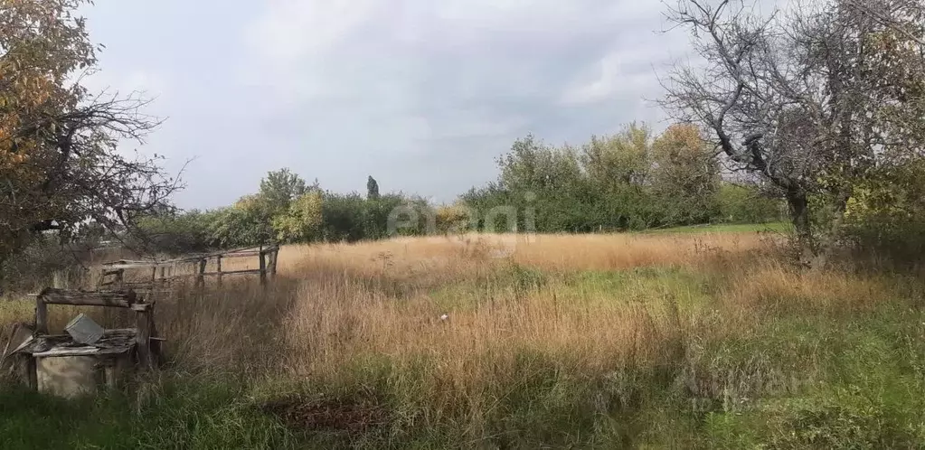 Участок в Воронежская область, с. Новая Усмань ул. Колхозная (12.0 ... - Фото 1