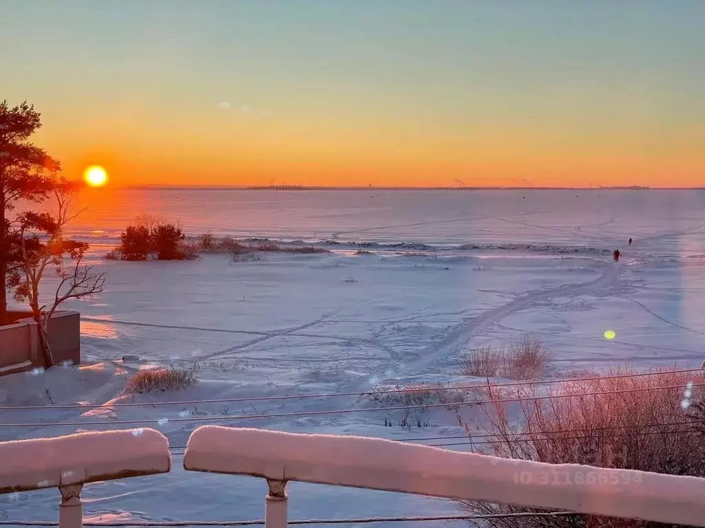 Дом в Санкт-Петербург, Санкт-Петербург, Сестрорецк ул. Тарховская, 2г ... - Фото 2