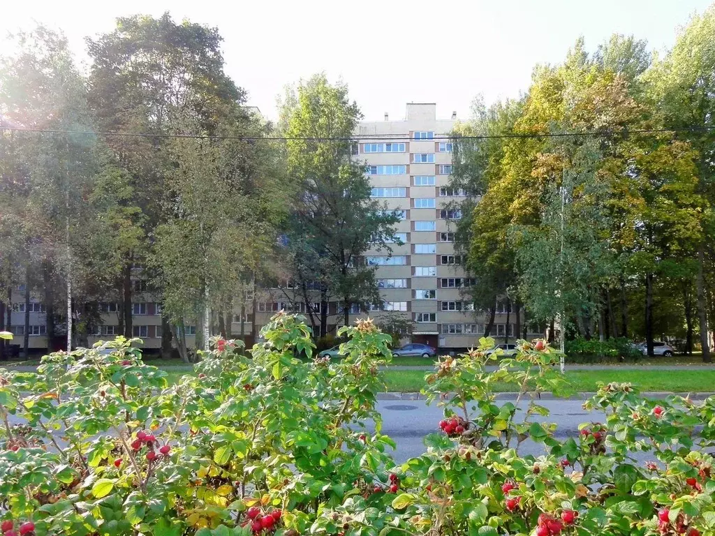 3-к кв. Санкт-Петербург Суздальский просп., 93К1 (67.0 м) - Фото 1