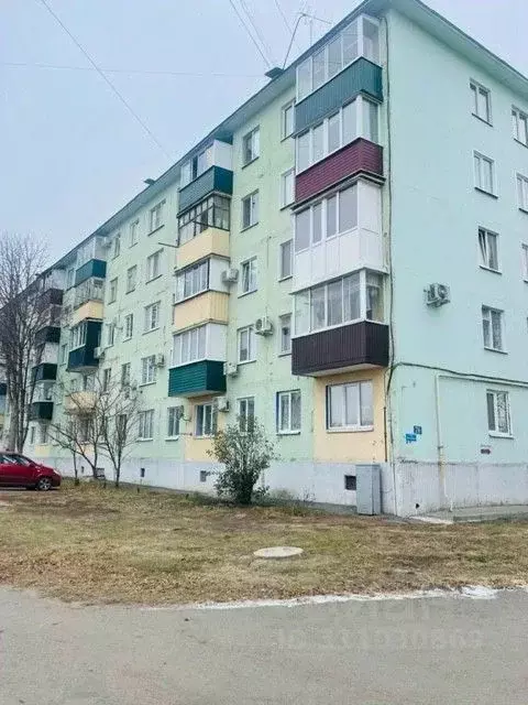 2-к кв. Белгородская область, Алексеевка ул. Маяковского (44.6 м) - Фото 1