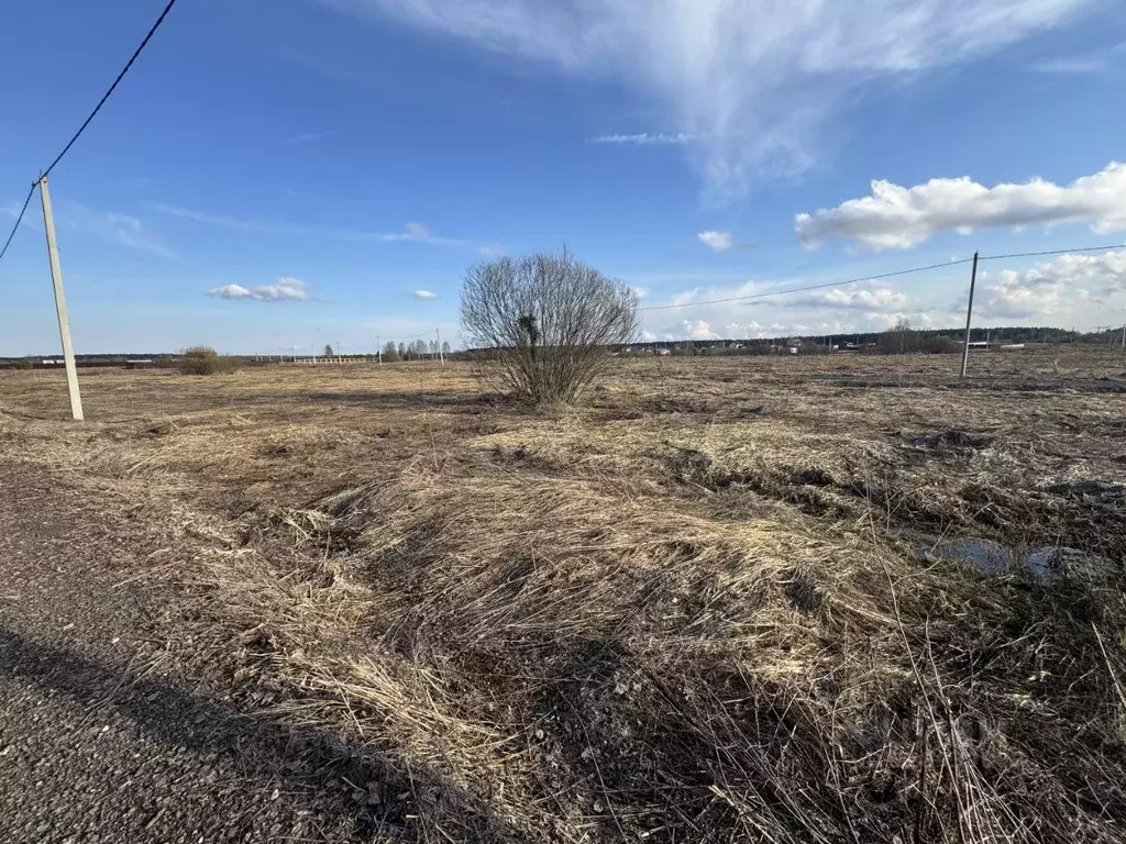 Участок в Московская область, Богородский городской округ, Черновские ... - Фото 2