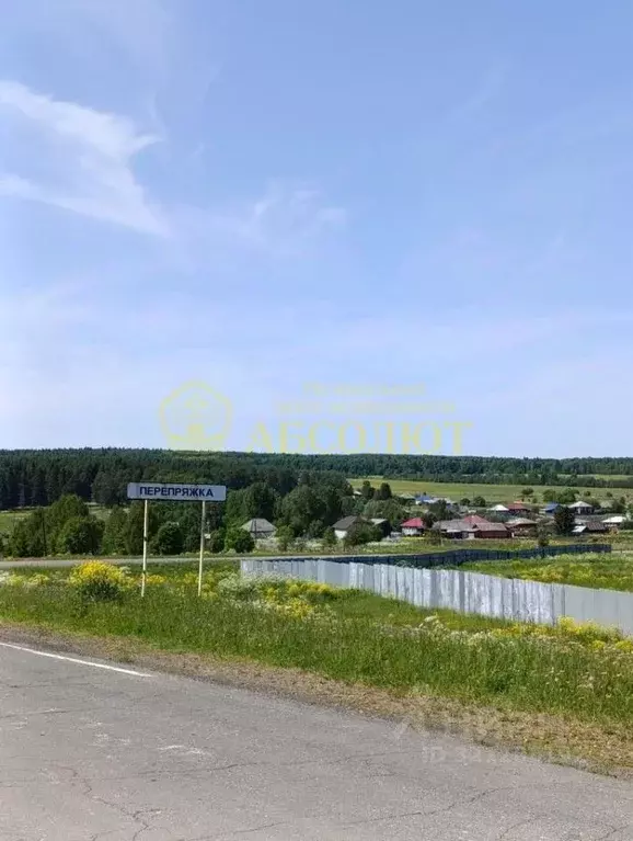 Участок в Свердловская область, Нижнесергинский район, Михайловское ... - Фото 1