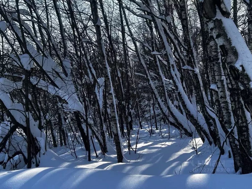 Участок в Московская область, Ступино городской округ, с. Короськово ... - Фото 1