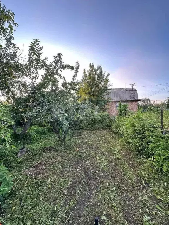 Участок в Омская область, Омск Нефтяник СНТ, 627 (6.9 сот.) - Фото 1