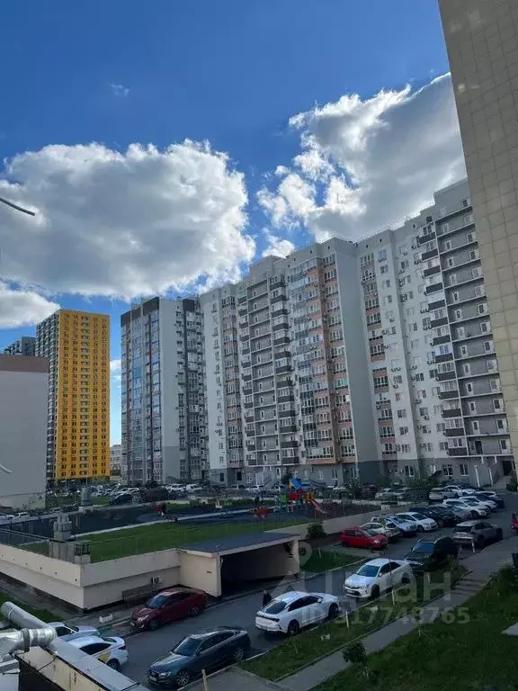 1-к кв. Краснодарский край, Новороссийск ул. Бориса Пупко, 1 (50.0 м) - Фото 1