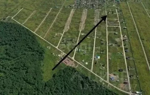 Участок в Ленинградская область, Ломоносовский район, Гостилицкое ... - Фото 1