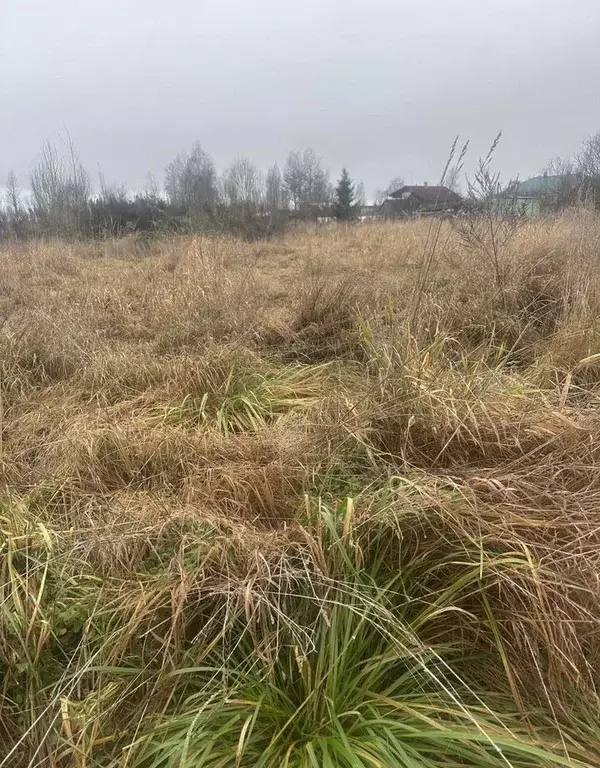 Участок в Ленинградская область, Тосненское городское поселение, д. ... - Фото 2
