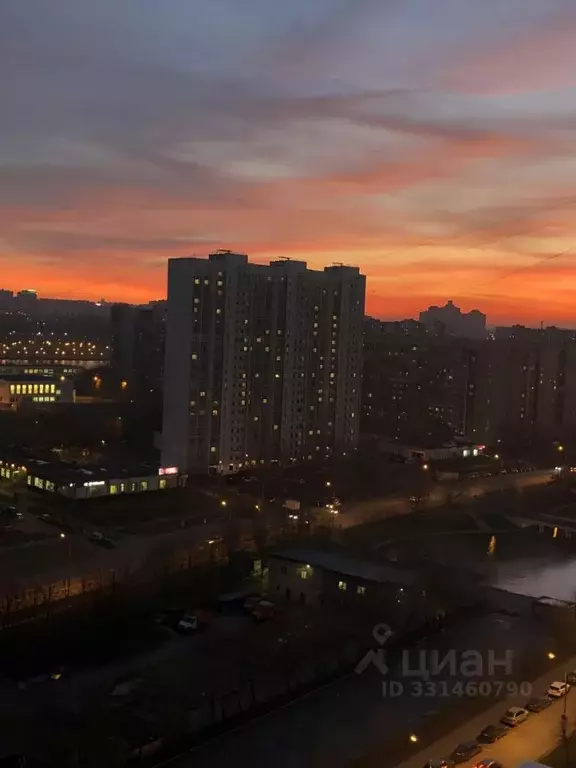 2-к кв. Москва Новочеркасский бул., 51 (53.0 м) - Фото 1