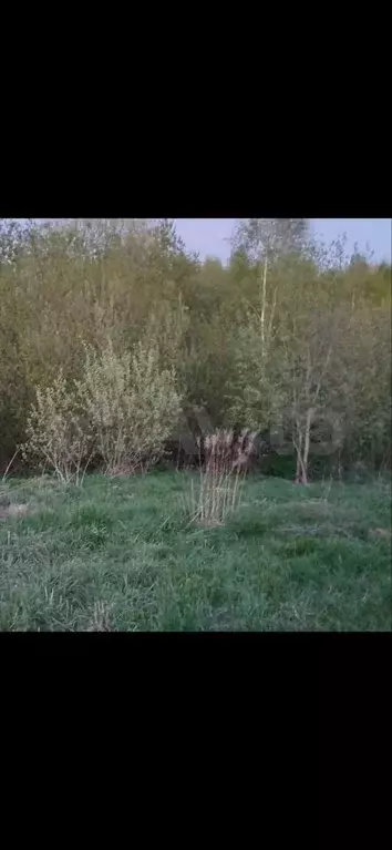 Участок 15 сот. (ИЖС) - Фото 0