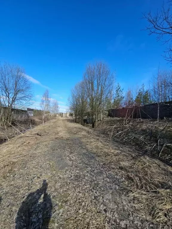 Помещение свободного назначения в Тверская область, Конаковский ... - Фото 2