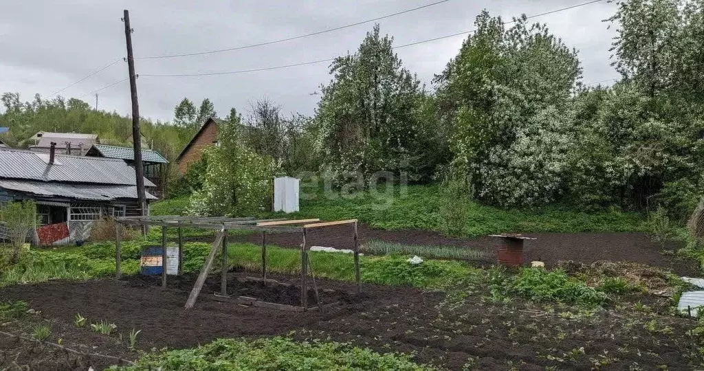 Дом в Алтай, Горно-Алтайск Ленинградская ул. (36 м) - Фото 1