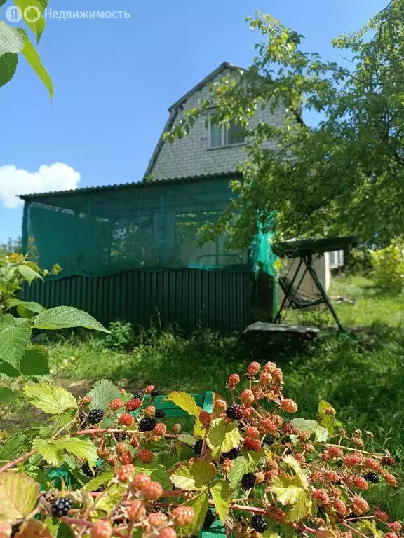 Дом в Курск, СНТ Курск (36 м) - Фото 0