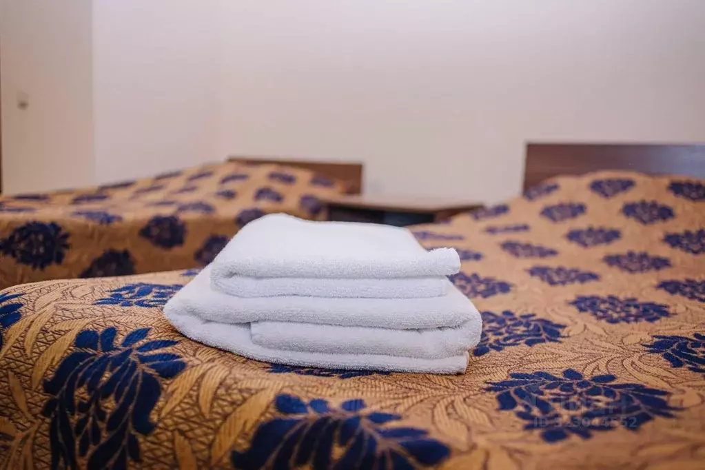 Комната Ярославская область, Ярославль ул. Ньютона, 34Б (27.0 м) - Фото 2