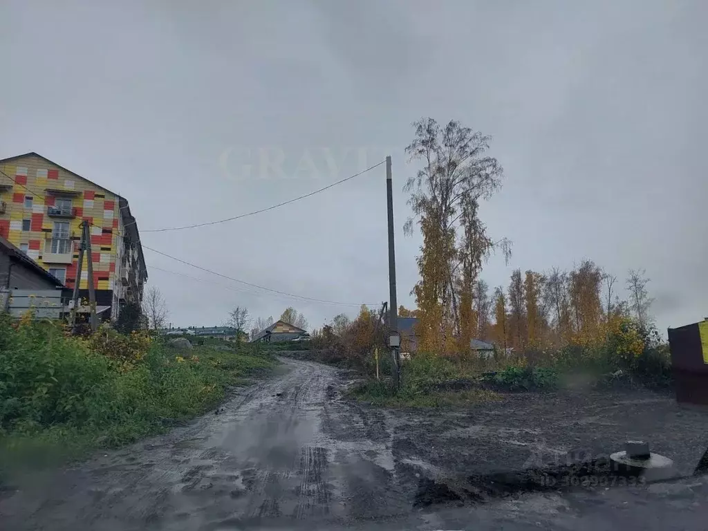 Участок в Алтай, Майминский район, с. Майма пер. Лесной (10.0 сот.) - Фото 0