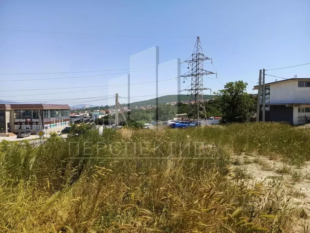 Участок в Краснодарский край, Новороссийск Цемдолина тер., ул. ... - Фото 2