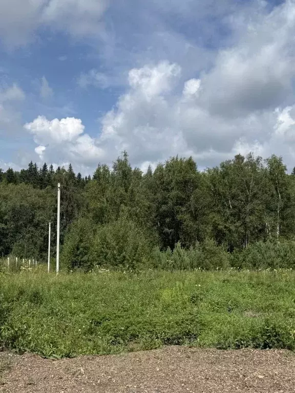 Участок в Томская область, Томск ул. Вешняя (12.0 сот.) - Фото 0