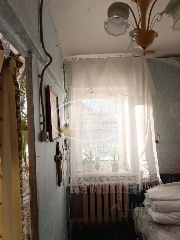 Дом в Удмуртия, Сарапул Северный жилрайон, ул. Павлова, 32 (46 м) - Фото 1