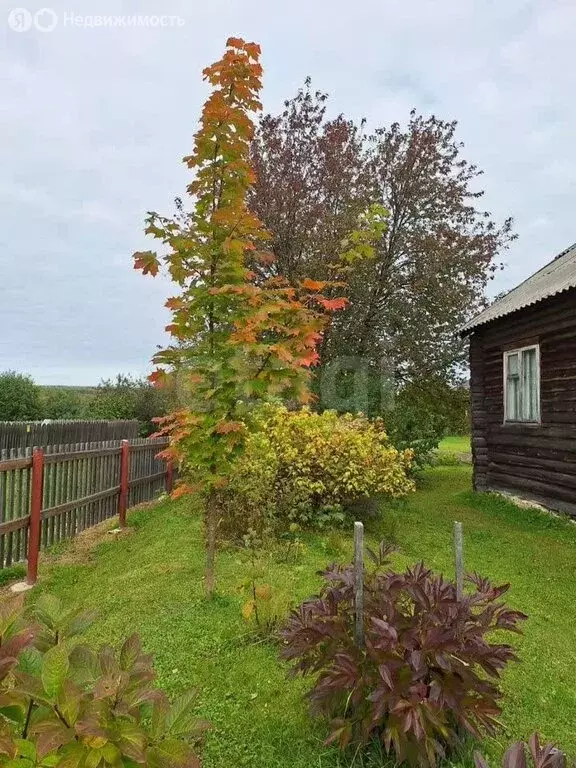 Дом в село Додзь, Центральная улица (50 м) - Фото 1