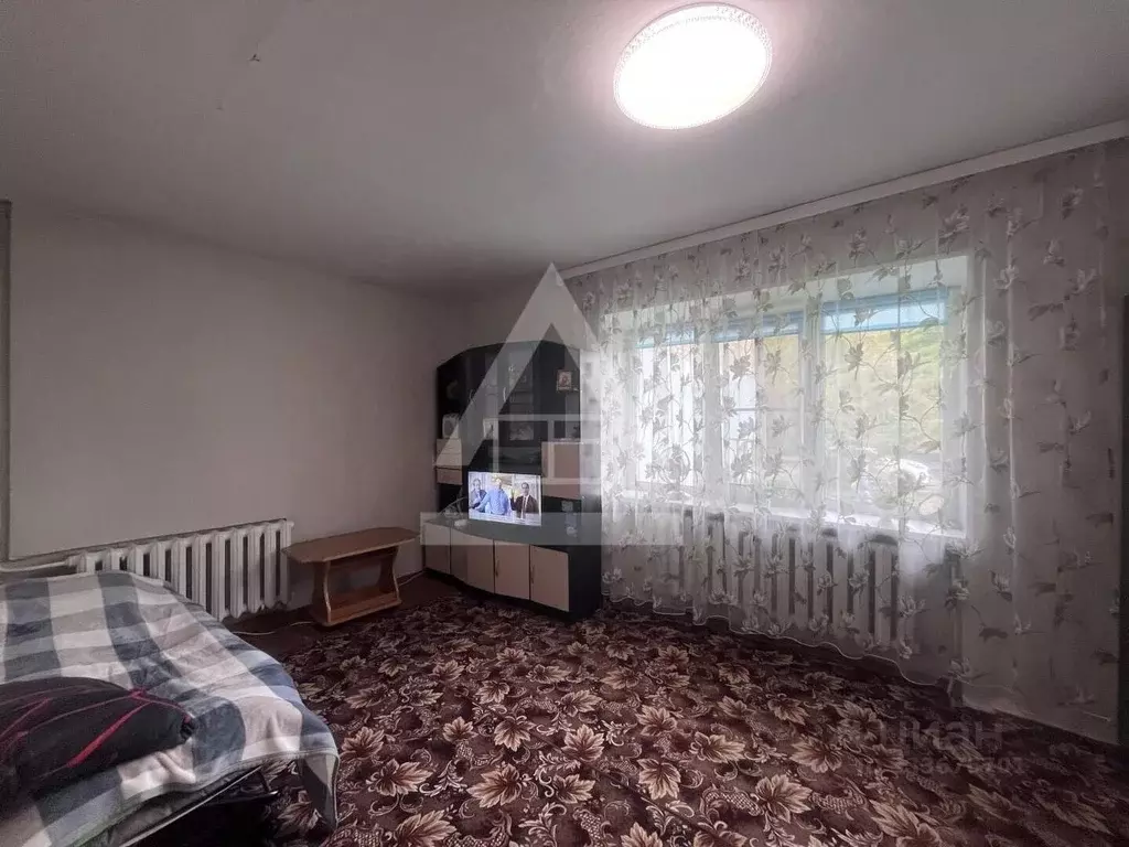 1-к кв. Челябинская область, Коркино ул. Цвиллинга, 19 (30.5 м) - Фото 2