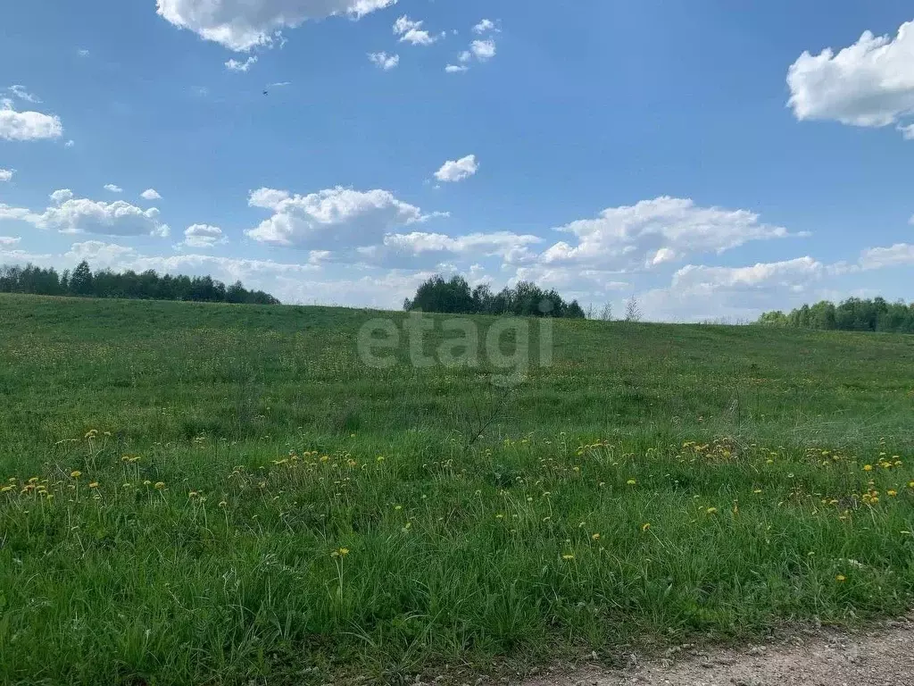 Участок в Ярославская область, Борисоглебский муниципальный округ, ... - Фото 1