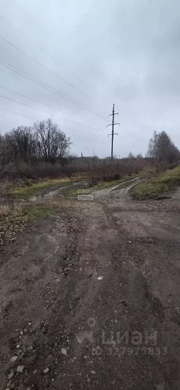 Участок в Курская область, Курский район, Рышковский сельсовет, ... - Фото 1