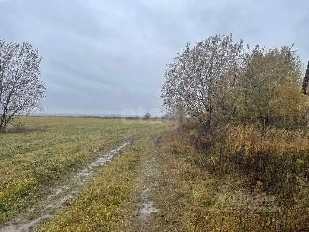 Участок в Тульская область, Киреевский район, Шварцевское с/пос, с. ... - Фото 2