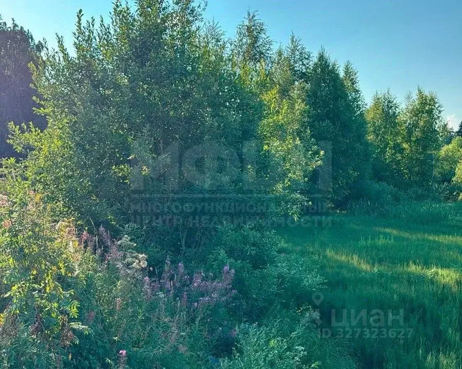 Участок в Карелия, Пряжинский район, с. Святозеро Олонецкая ул. (15.0 ... - Фото 1