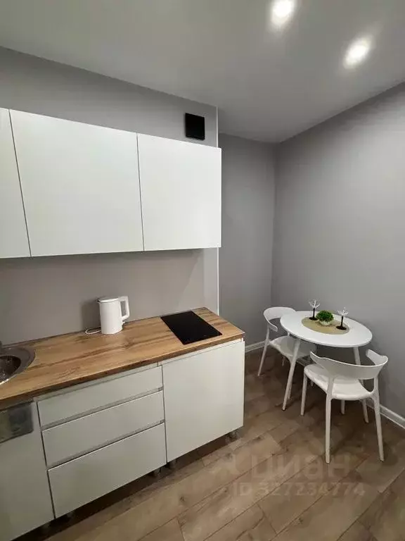 Студия Башкортостан, Уфимский район, с. Михайловка Новоуфимская ул., ... - Фото 2