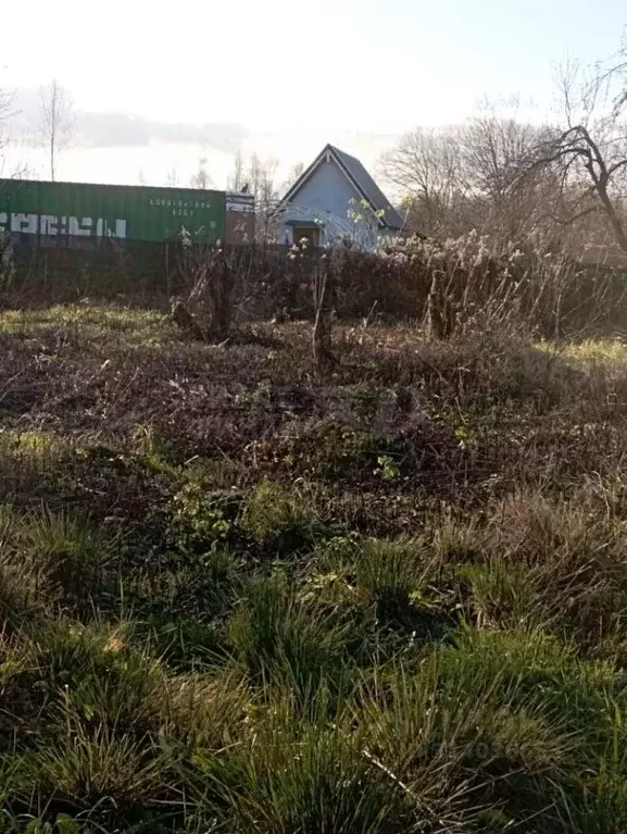 Участок в Калининградская область, Гурьевский муниципальный округ, ... - Фото 1