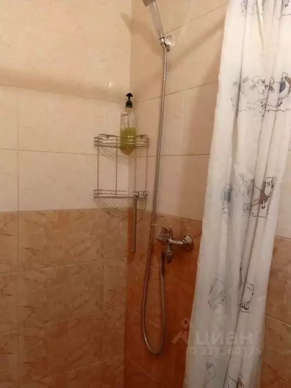 Комната Новосибирская область, Новосибирск Каменская ул., 26 (17.6 м) - Фото 0