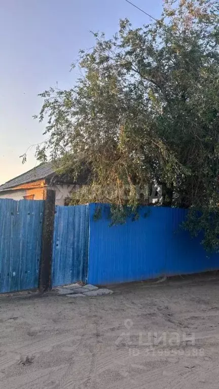 Дом в Забайкальский край, Борзя ул. Декабристов (43 м) - Фото 1