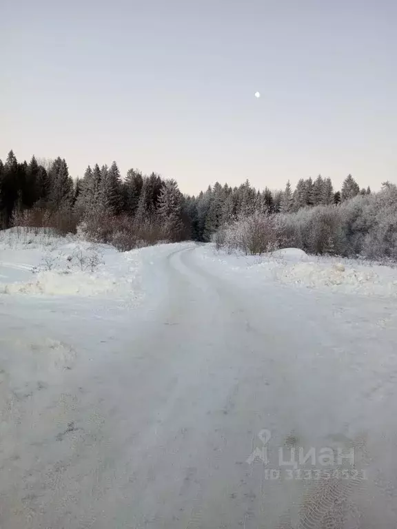 Участок в Пермский край, Пермь Лесная Поляна СТ,  (6.2 сот.) - Фото 1