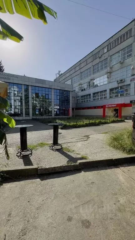 Офис в Краснодарский край, Сочи ул. Свердлова, 55 (400 м) - Фото 2