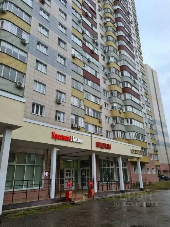 Помещение свободного назначения в Московская область, Балашиха ул. ... - Фото 1