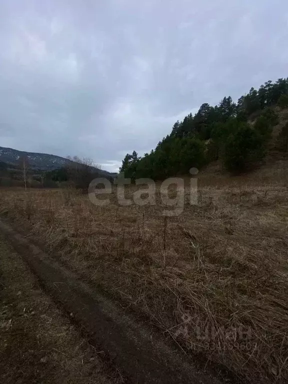Участок в Алтай, Чойский район, с. Кара-Торбок ул. Дилевская (24.98 ... - Фото 2