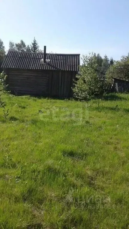 Участок в Брянская область, Рогнединский район, Шаровичское с/пос, д. ... - Фото 1