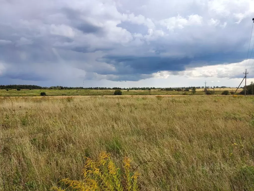 Участок в Тульская область, Веневский муниципальный округ, д. Кончинка ... - Фото 2