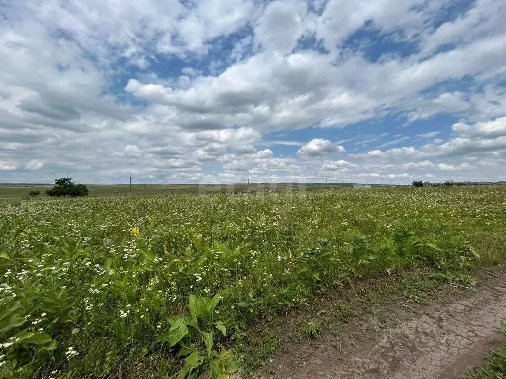 Участок в Ингушетия, Назрань Центральный административный округ,  (6.0 ... - Фото 1